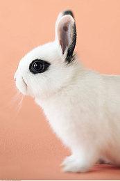 《幽灵行者2》将于10月26日发售 现已开启预购